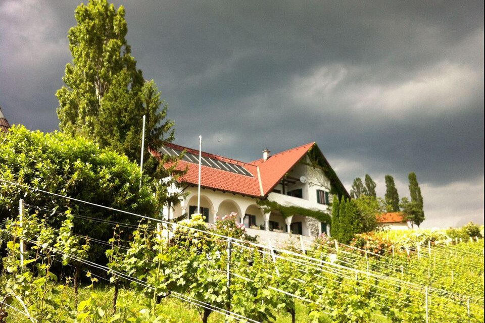 Weingut Maitz Urbanikeller - Impression #1 | © Maitz Urbanikeller | Helmut & Mathias Maitz