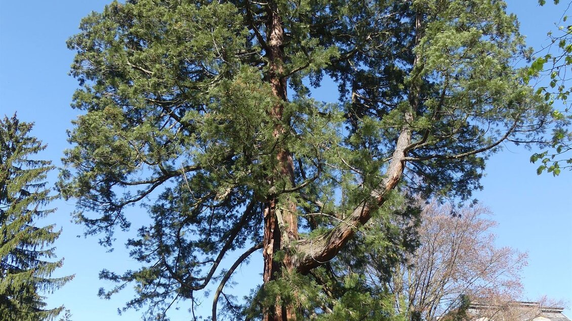 P1030529 | © Thermen- & Vulkanland