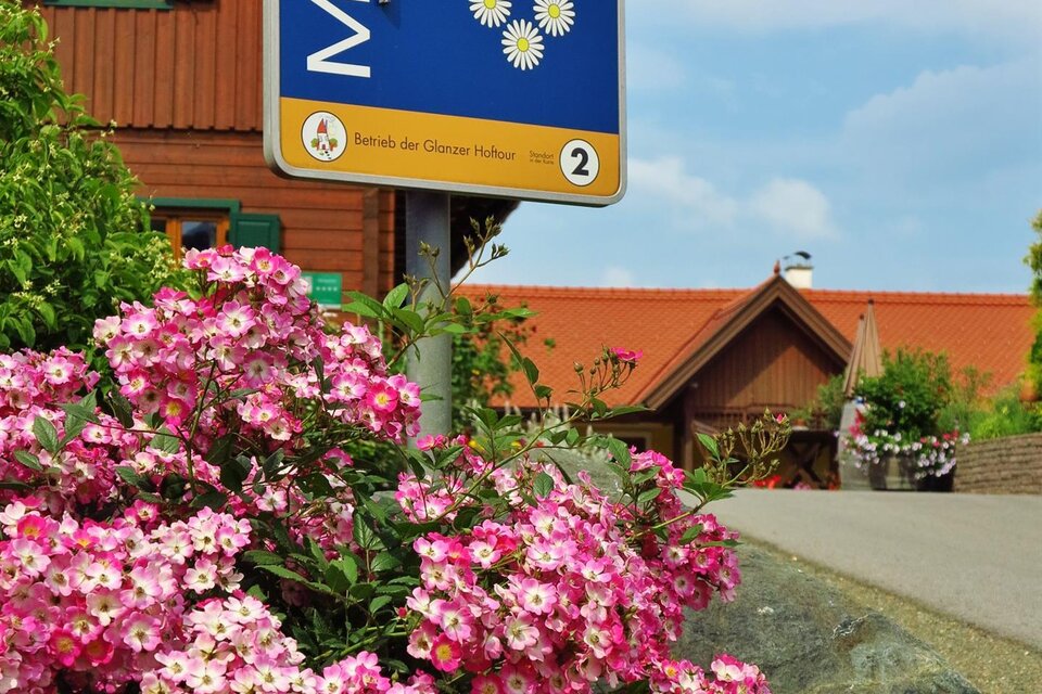 Marko der Weinstricker - Impression #1 | © Famiie Marko | Marko der Weinstricker