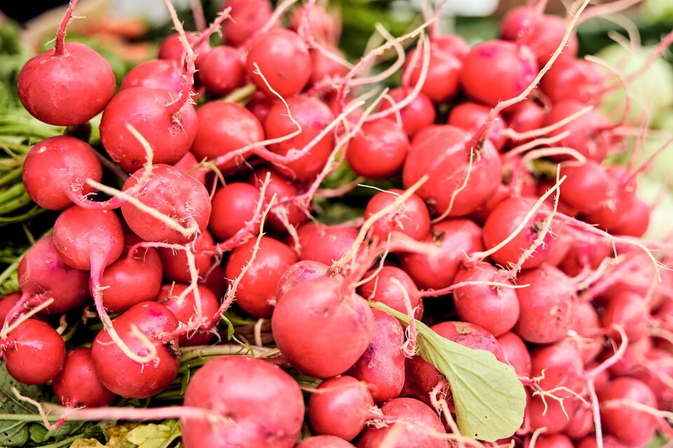 Marktgarten Villmannsdorf - Impression #1