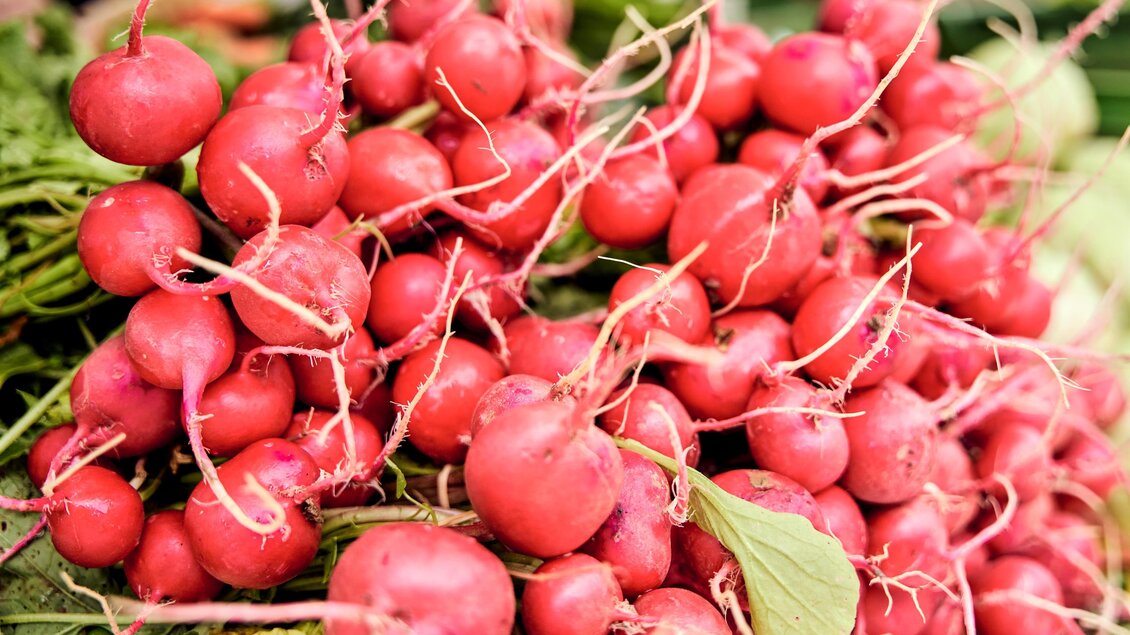 Frisches Gemüse aus dem Villmannsdorfgarten