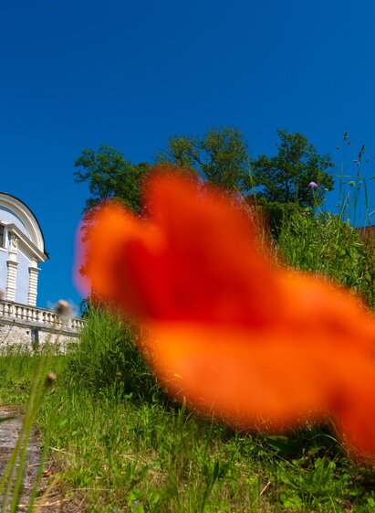 Mausoleum der Eggenberger | SYMBOL | SCHIFFER | © SYMBOL | SCHIFFER