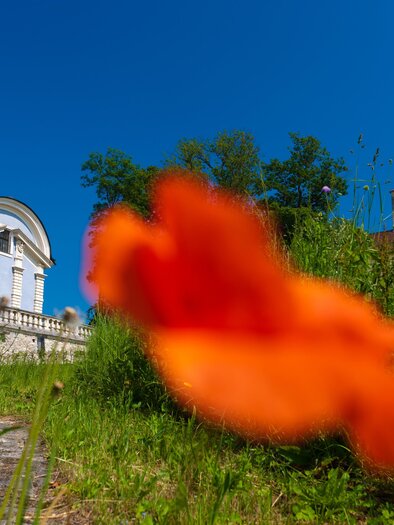Mausoleum der Eggenberger | © SYMBOL | SCHIFFER