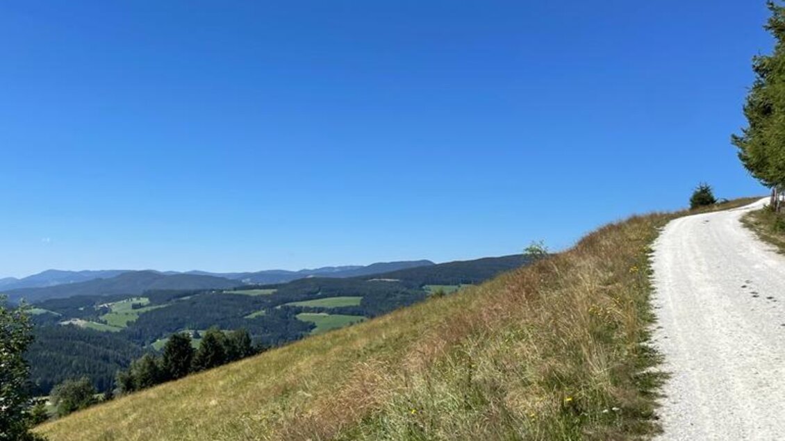 Mautstraße Pretul_Straße_Oststeiermark | © Oststeiermark Tourismus