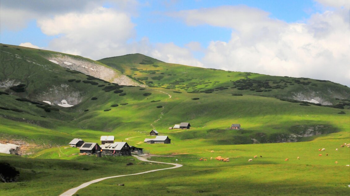 Eine malerische Landschaft mit sanften Hügeln und grünen Wiesen. Kleine Hütten liegen verstreut und ein schmaler Weg führt durch die Szene. | © Naturpark Mürzer Oberland