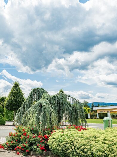 Car park in front of the Gartenwelt | © Region Graz-Mias Photoart | © Region Graz-Mias Photoart