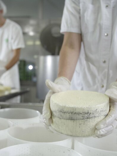 Milchhof Krenn Feldbach | © Milchhof Krenn Feldbach