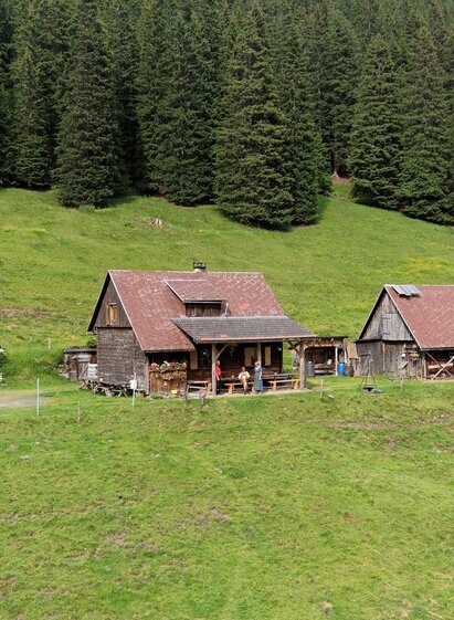 Moaralm-Hohentauern-Murtal-Steiermark | Gert Ziegenbein | © Erlbnisregion Murtal