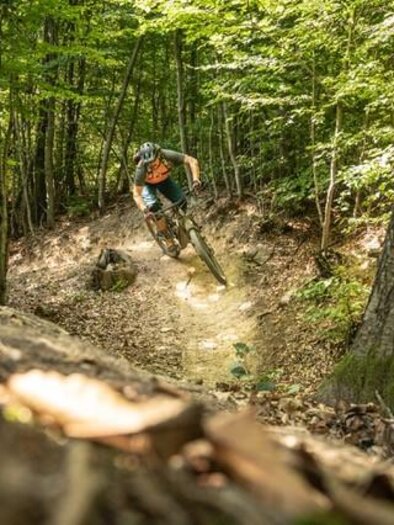 Mountain bikers in the forest_Eastern Styria | © Biker-Fürst