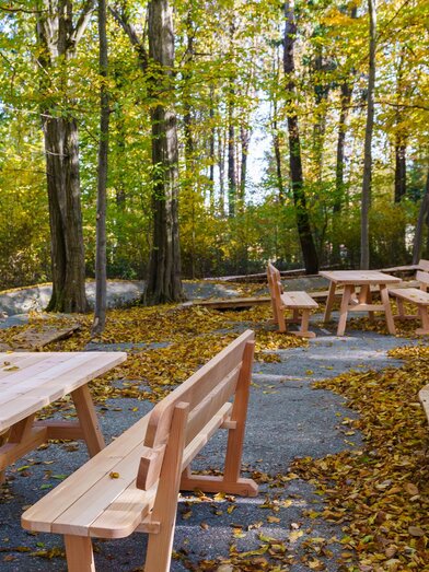 Gemütlich im Wald genießen | Petru Rimovetz | © Petru Rimovetz