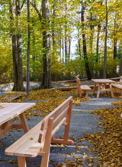 Gemütlich im Wald genießen | © Petru Rimovetz | Petru Rimovetz | © Petru Rimovetz
