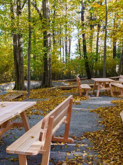 Gemütlich im Wald genießen | © Petru Rimovetz
