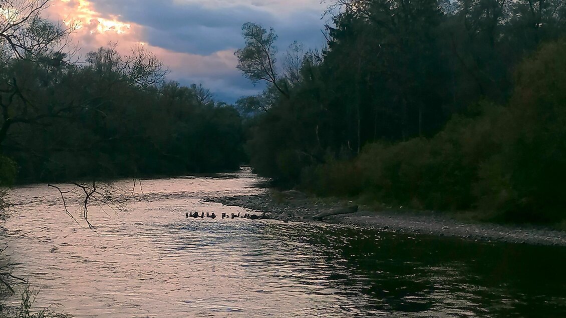 Ein ruhiger Fluss läuft durch eine grüne Landschaft. Der Himmel ist bewölkt mit einem sanften Licht bei Sonnenuntergang. | © Anita Fössl