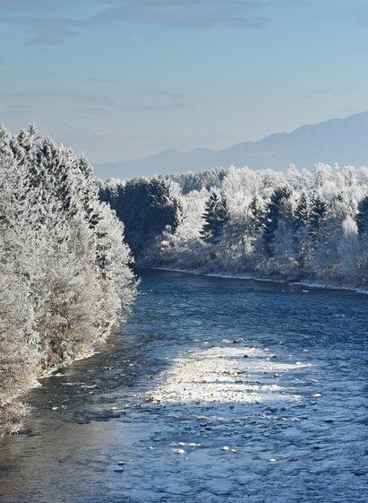 Mur-Auen-Winter2-Murtal-Steiermark | Peter Eberhard | © Peter Eberhard