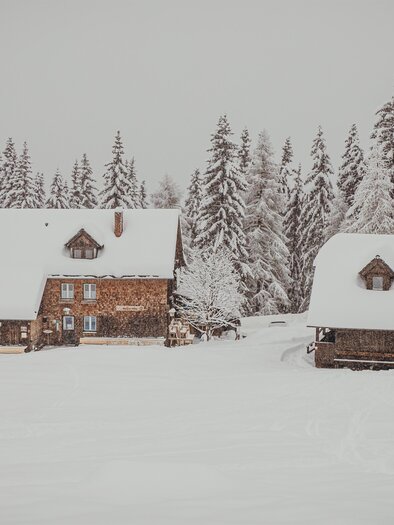 A picturesque snowy landscape featuring two traditional wooden houses. Tall, snow-covered fir trees surround the cabin. | © Tourismusverband Murau