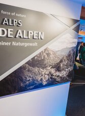 Sonderausstellung "Bergsturz von Wildalpen" | Barbara Nachbagauer