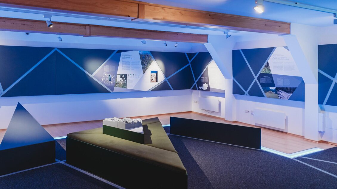 Blick in die Ausstellung "Bergsturz von Wildalpen"