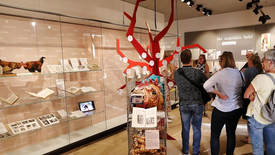 Besuchergruppe vor Exponaten der Ausstellung „Der vergoldete Apfel“ im Volkskundemuseum Graz. | © UMJ-J. Kucek