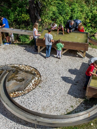 Kranzelbinder | © Edelstein Kranzelbinder