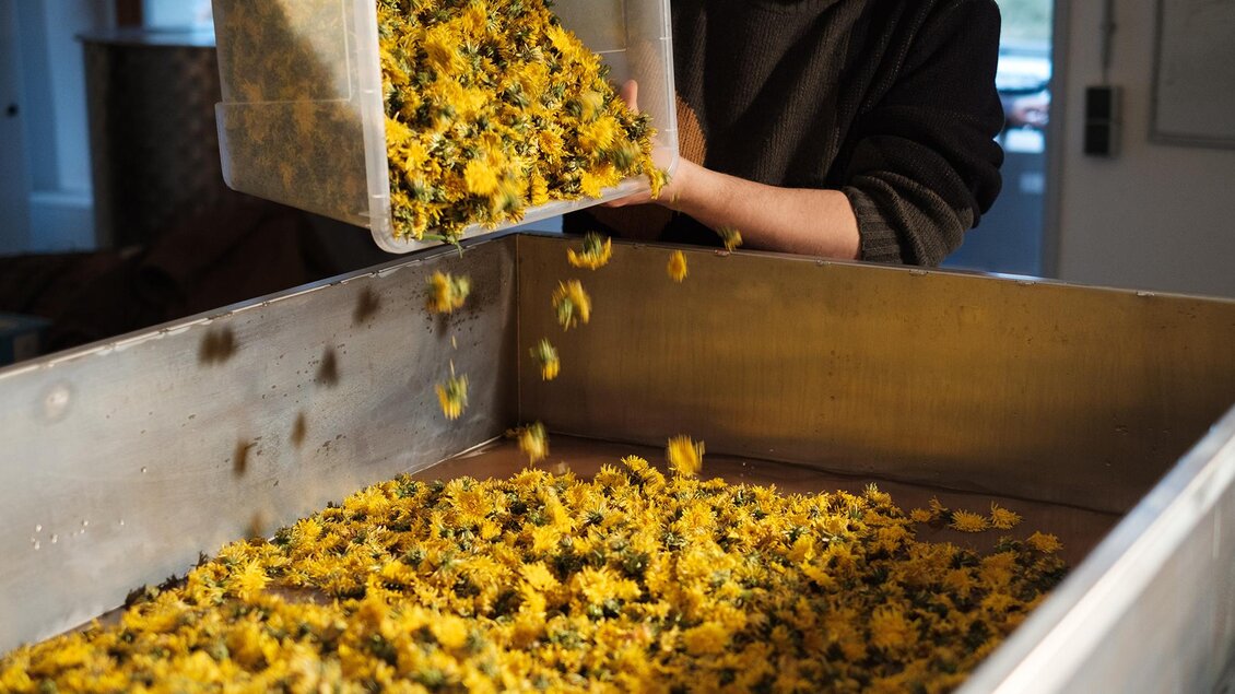 Produktion n | © Noom Wild Ales