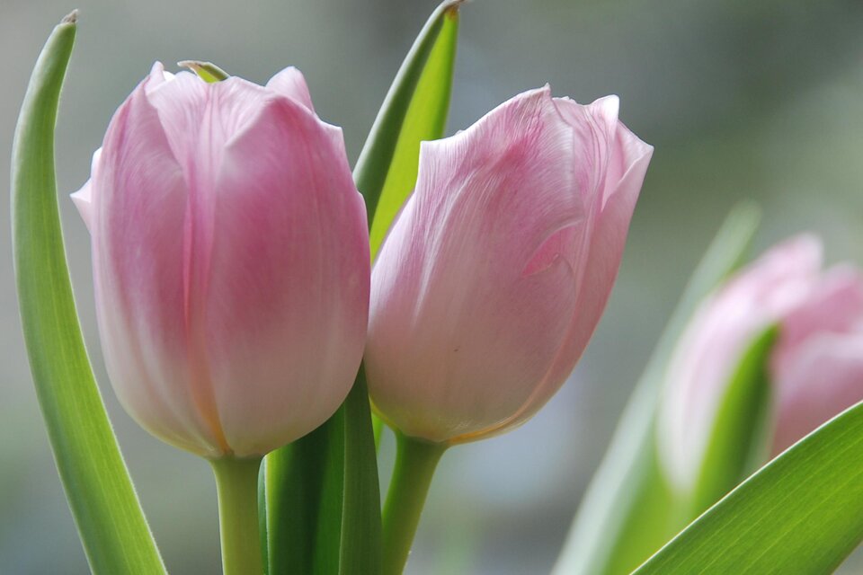 Nagel- und Wimpernstudio Glamour - Impression #1 | © TVB Ausseerland - Salzkammergut_Pirker