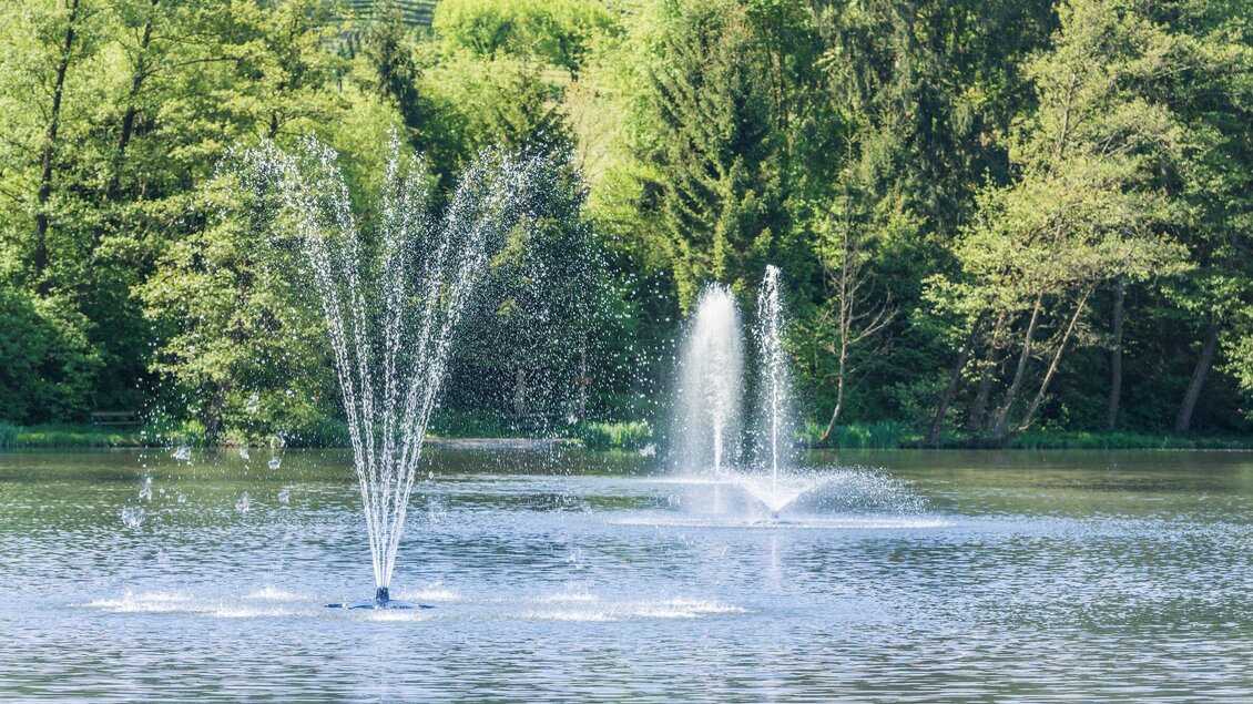 Ein schöner Teich mit mehreren Wasserfontänen. Üppige Bäume umgeben das Wasser und schaffen eine ruhige Atmosphäre. | © Lipizzanerheimat - Die Abbilderei