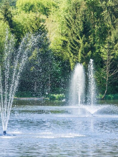Ein schöner Teich mit mehreren Wasserfontänen. Üppige Bäume umgeben das Wasser und schaffen eine ruhige Atmosphäre. | © Lipizzanerheimat - Die Abbilderei