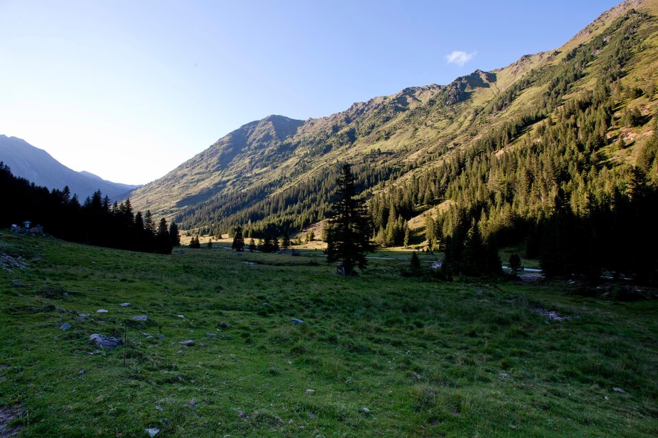 Nature & wood on the mountain pasture - Eselsberger Alm hiking trail - Impression #1 | © Holzwelt Murau