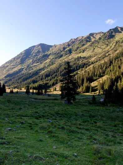 Wanderweg Eselsberger Alm | © Holzwelt Murau