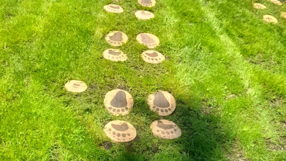 Im Bild sind Fußabdrücke aus Holz auf einer grünen Wiese zu sehen. Die Abdrücke sind in Reihen angeordnet und verleihen der Umgebung einen spielerischen Eindruck. | © Isabell Schachner