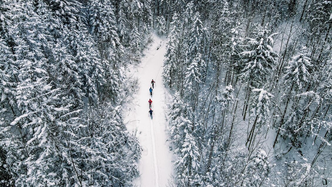 Drei Personen wandern auf einem schneebedeckten Weg im Wald. Die Bäume sind mit Schnee bedeckt und die Landschaft wirkt winterlich und ruhig. | © Thomas Sattler