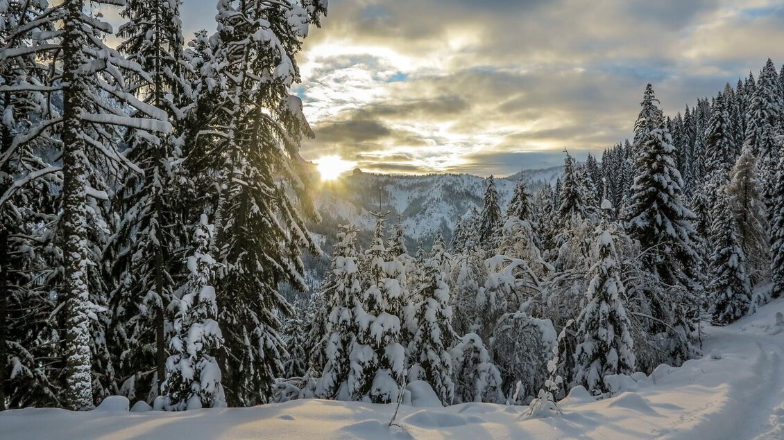 Eine winterliche Landschaft mit schneebedeckten Bäumen und einem Sonnenuntergang im Hintergrund. Der Weg ist klar und führt durch die verschneite Natur. | © Christian Scheucher