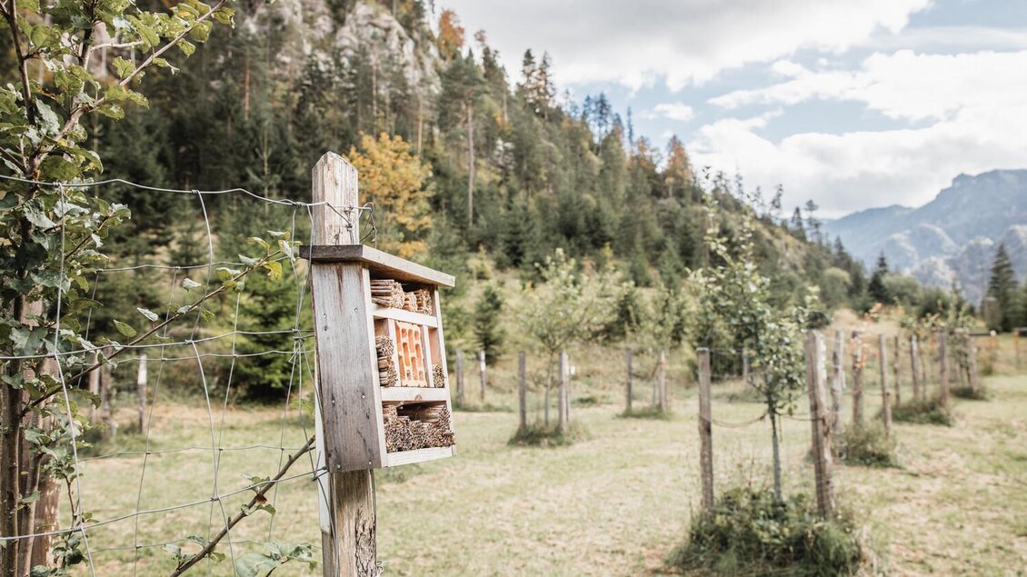 Ein Insektenhotel steht auf einem Pfosten in einer grünen Wiese. Im Hintergrund sind Bäume und Berge zu sehen, unter einem bewölkten Himmel. | © Thomas Sattler