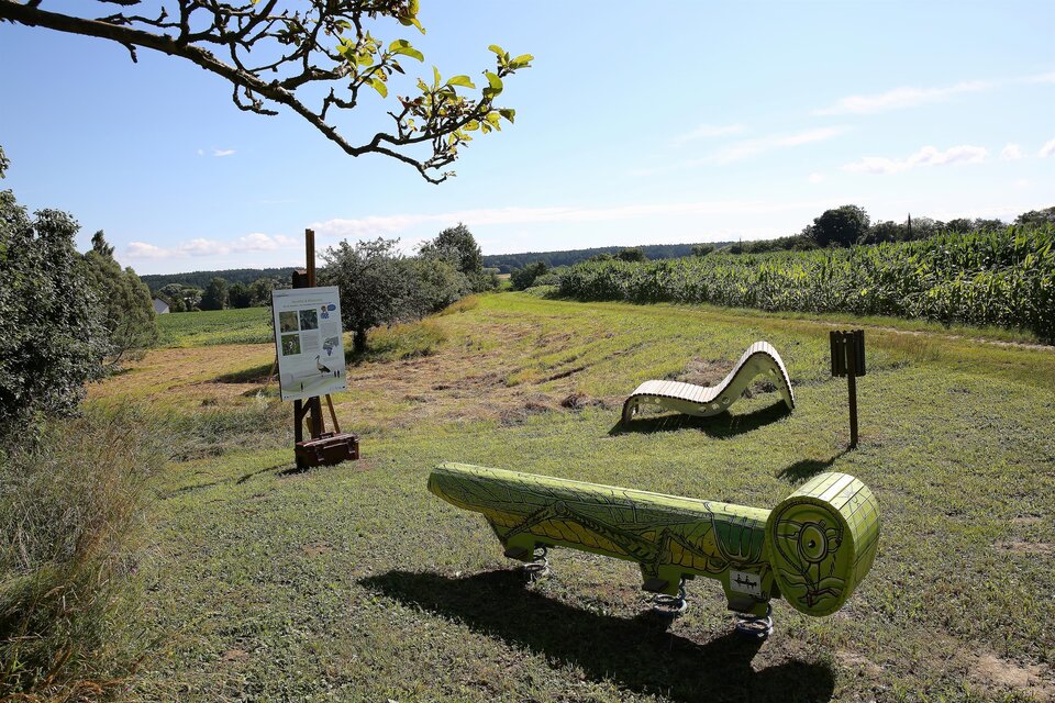 Nature and culture experience trail Future walk - Impression #1 | © Kurkommission Bad Blumau