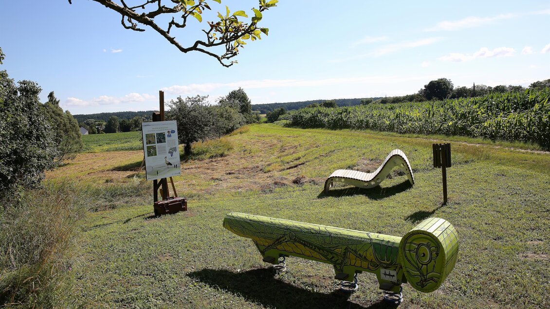 Eine grüne Wiese mit stilisierten Bänken in Form von Naturmotiven. Im Hintergrund sind Weinberge und ein blauer Himmel zu sehen. | © Kurkommission Bad Blumau