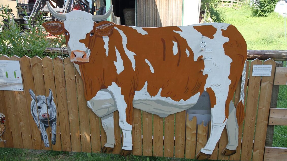 Ein gemaltes Bild einer Kuh auf einer Holzpaneelwand. Die Kuh hat braune und weiße Flecken und steht vor einem ländlichen Hintergrund. | © OIKOS