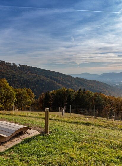 Natur- Erlebnisweg Weinitzen | © TV Region Graz - Harry Schiffer