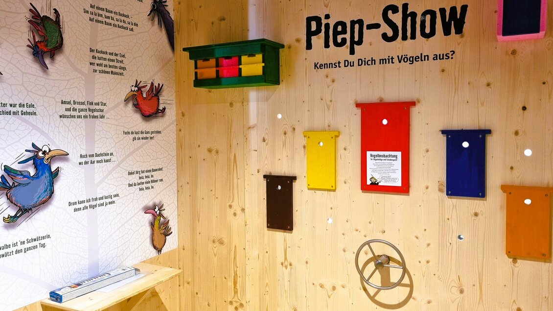 Eine interaktive Ausstellung mit bunten Vogelhäusern an einer Holzwand. Der Titel "Piep-Show" lädt dazu ein, mehr über Vögel zu erfahren.