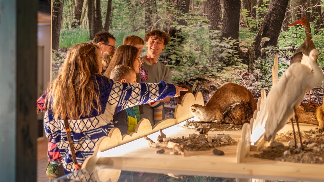 Eine Gruppe von Personen betrachtet ein interaktives Ausstellungselement in einem Naturmuseum. Im Hintergrund ist eine Waldszene und verschiedene Tiermodelle zu sehen. | © Naturpark Mürzer Oberland, Michael Koopmans