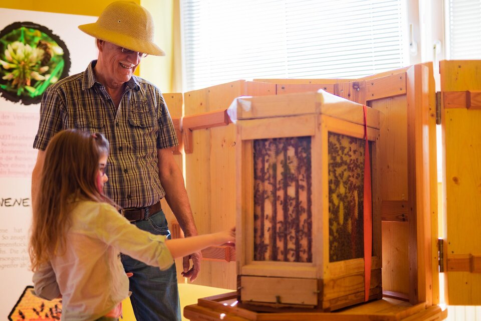 Reading nature museum Neumarkt - Impression #1 | © Tourismusverband Murau