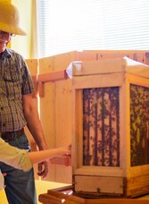 Schaubienenstock_2 | © Tourismusverband Murau | tricky.pics | © Tourismusverband Murau