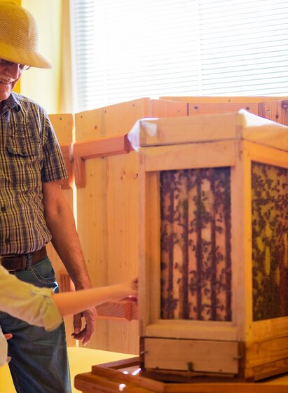 Schaubienenstock_2 | tricky.pics | © Tourismusverband Murau