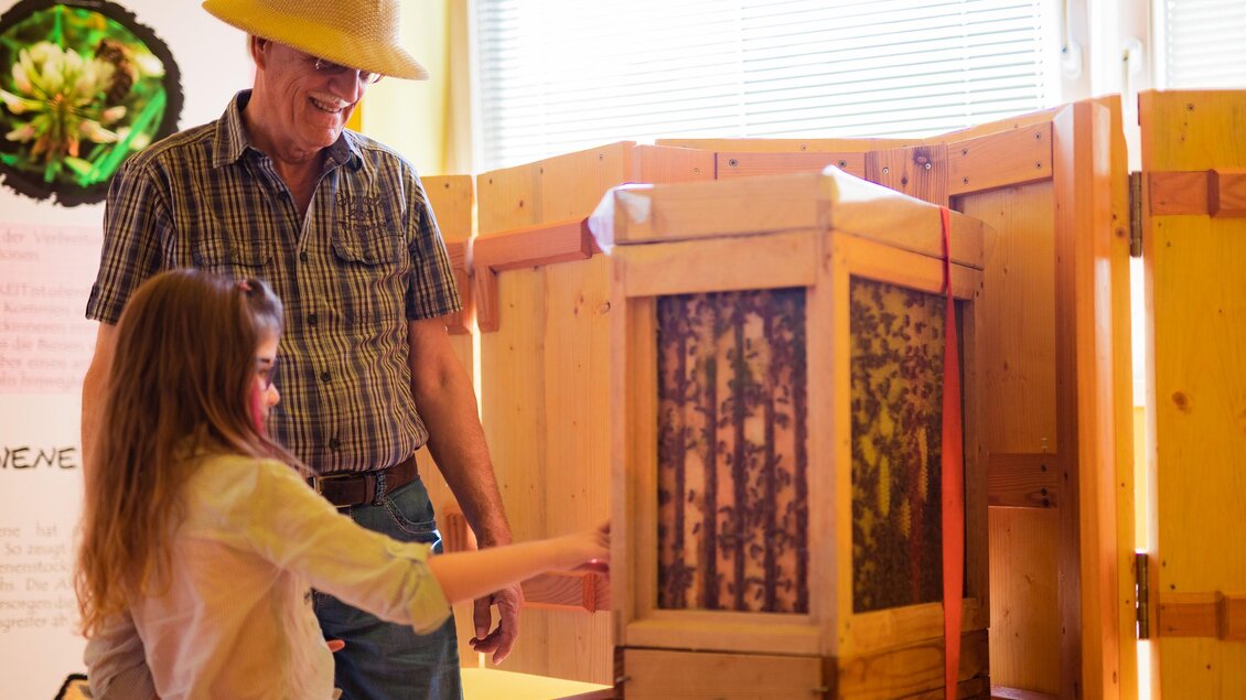 Ein Mann und ein Mädchen stehen vor einem Holzobjekt, das eine Bienenwabe zeigt. Beide schauen interessiert und der Mann trägt einen Hut. | © Tourismusverband Murau