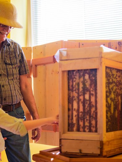 A man and a girl are standing in front of a wooden object that displays a honeycomb. Both are looking with interest, and the man is wearing a hat. | © Tourismusverband Murau