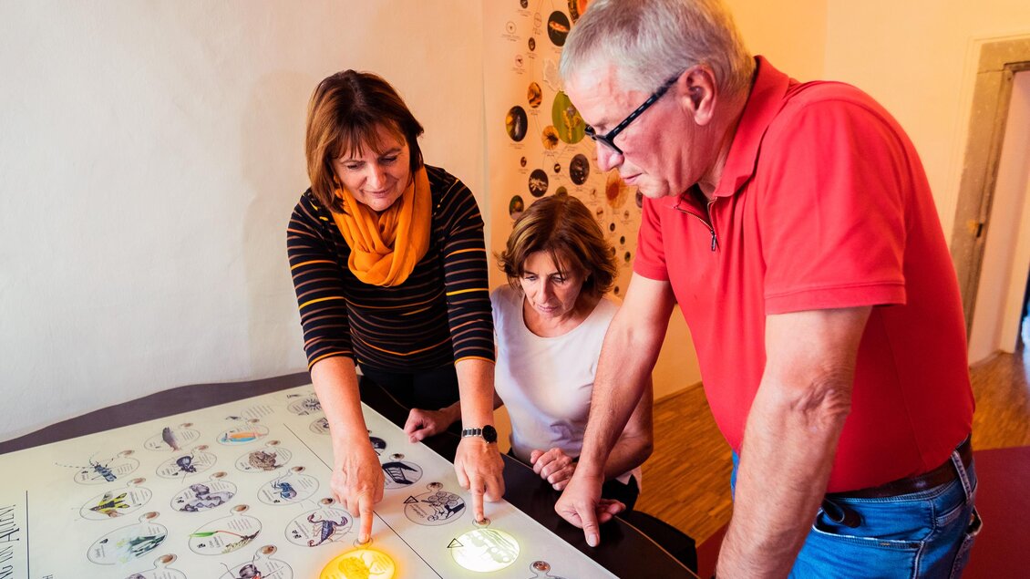 Drei Personen betrachten eine Tischkarte und zeigen auf verschiedene Punkte. Die Szene wirkt informativ und gemeinschaftlich. | © Tourismusverband Murau