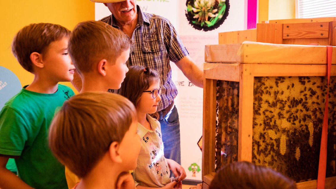 Eine Gruppe von Kindern schaut fasziniert auf einen Bienenstock. Ein Erwachsener erklärt ihnen etwas über die Bienen. | © Tourismusverband Murau