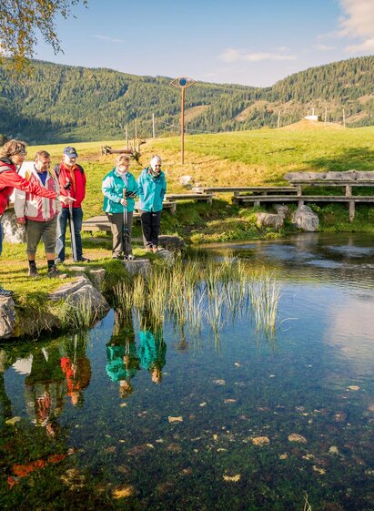 Spannende Einblicke in die Natur | Mediadome | © Tourismusverband Murau