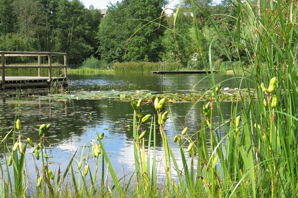 Natural Bathing Pond Gruber - Impression #1 | © Naturbadeteich Gruber