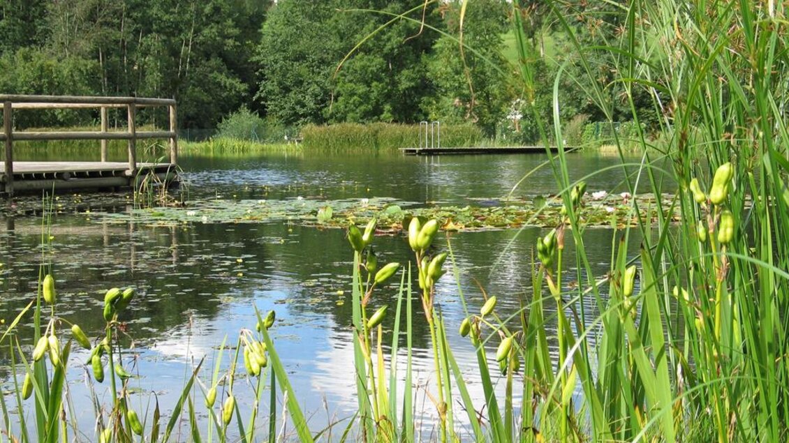 Naturbadeteich Gruber_Teich mit Steg_Oststeiermark | © Naturbadeteich Gruber