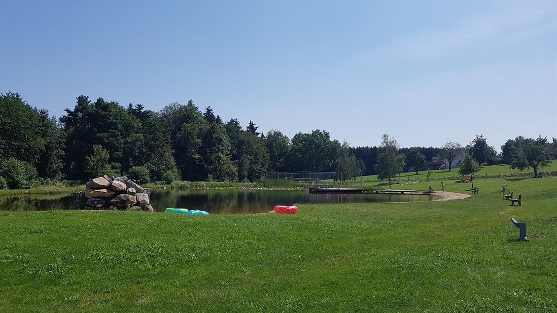 Naturbadeteich_Blick auf den Teich_Oststeiermark | © Christine Schwetz